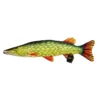 Gaby The Pike, 80cm -Deutschland Darts Verkaufs-Shop GP 175037 1