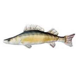 Gaby The Zander, 77cm