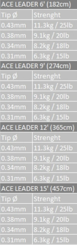 Vision ACE Leader 4 Vision ACE Leader – Bild 2